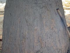 -高家大院烤全羊