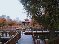-五缘湾湿地公园