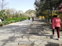 -府君山公园