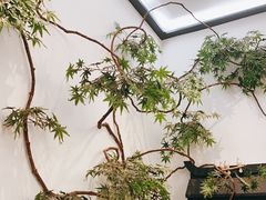 -耳艺采耳·足疗·按摩SPA(市桥店)