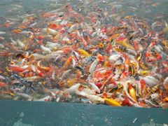 景点-北戴河圣蓝海洋公园