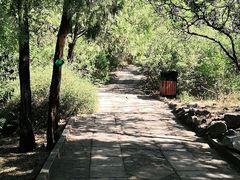 -北京十三陵国家森林公园蟒山景区