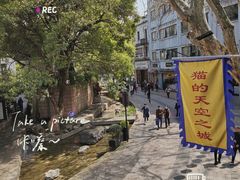 -猫的天空之城概念书店(杭州南宋御街店)