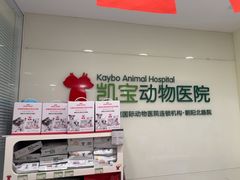 -悦宠凯宝动物医院·牙科·皮肤科(朝阳北路店)