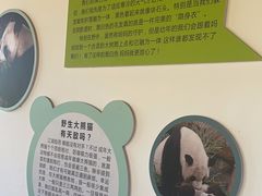 -宁波野生动物园