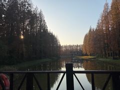 -黄海国家森林公园