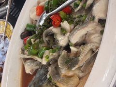 -陶缘一号·四季缘·老字号顺德菜·户外婚礼家宴(西滘店)