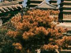 -五塔寺