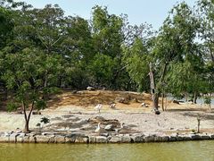 -盐城丹顶鹤湿地生态旅游区
