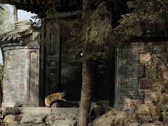 -承德避暑山庄景区