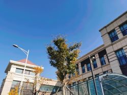 -大连市妇女儿童医疗中心