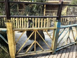 -三分地生态园·儿童乐园