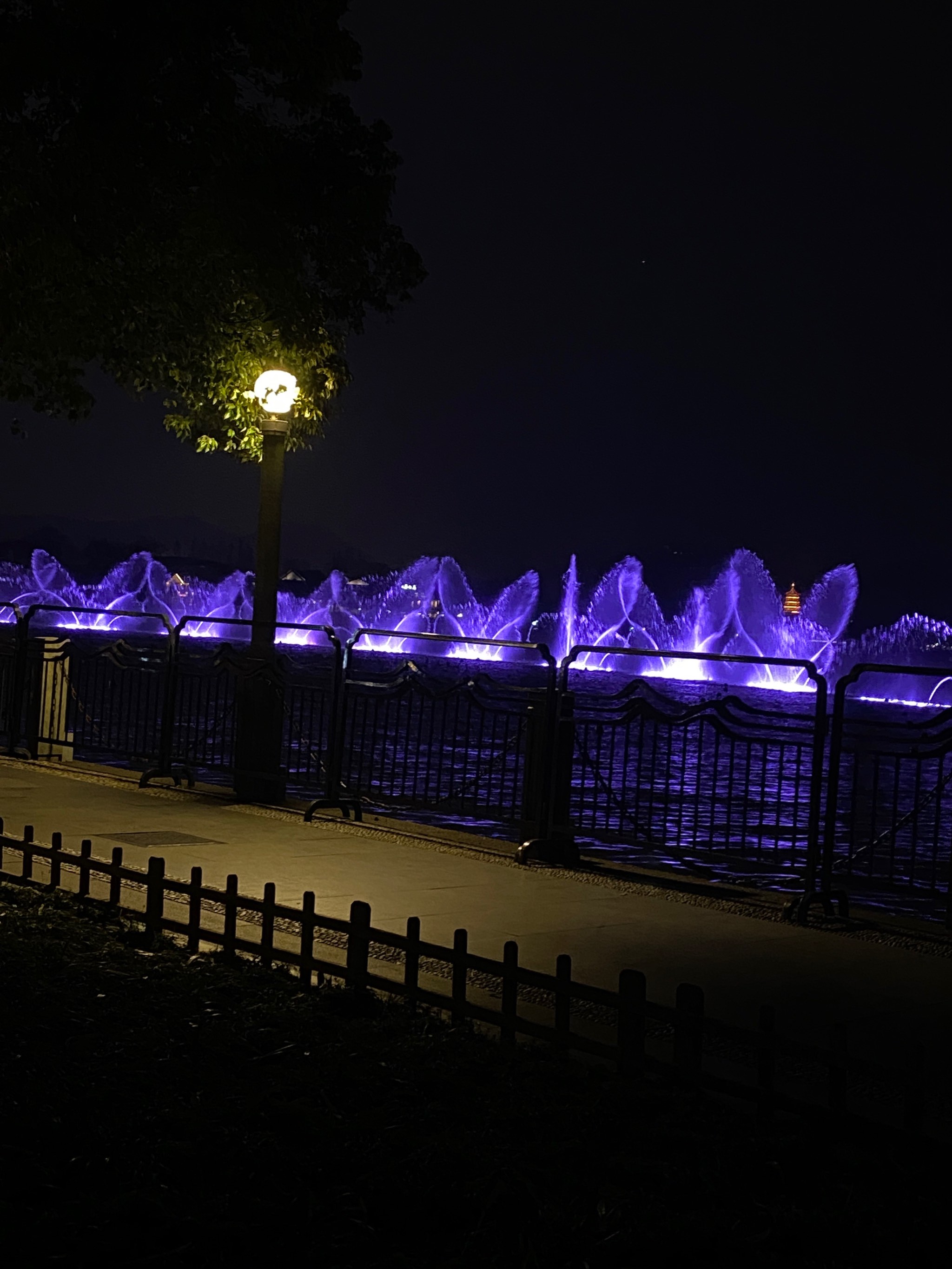 杭州西湖音乐喷泉夜景图片