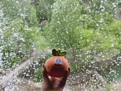 -黄花溪