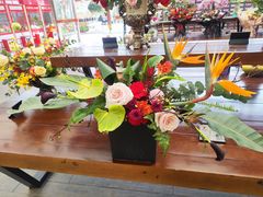 -荷兰花海