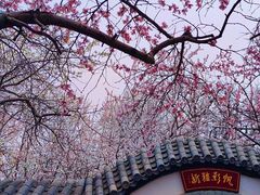 -桃花堤公园