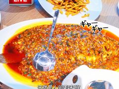 -蜀SHU·川菜