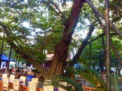 -兴福老面馆(寺路街店)