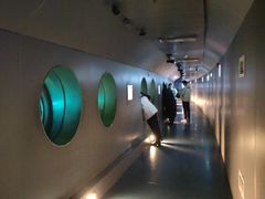 -白鹤梁水下博物馆