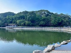 -广州市帽峰山景区