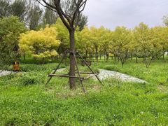 -东郊湿地公园