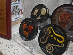 -半岛宠物医院24小时(白果林店)