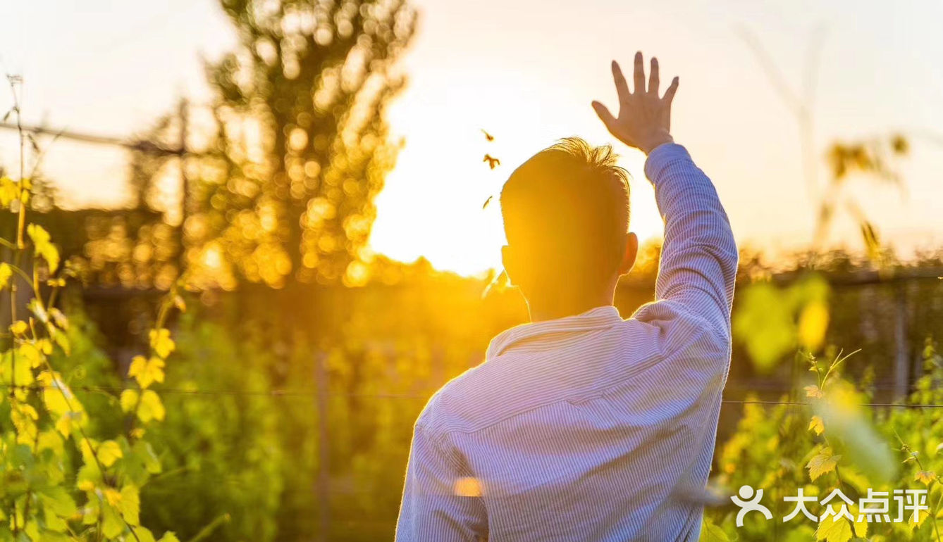 当父母反对你的梦想时，该怎么办？