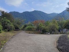 -千岛湖石林