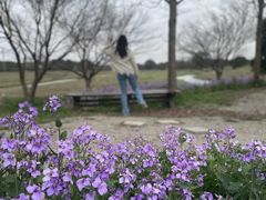 -花开海上生态园