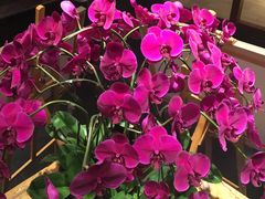 -黔蘑菇四季餐厅(观山湖店)