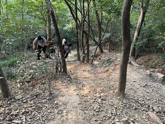 -紫金山山顶公园