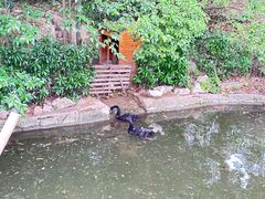 -南山风景名胜区