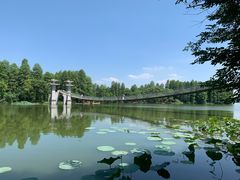 -东湖落雁景区