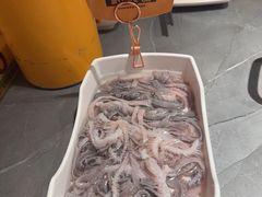 -潮发潮汕牛肉店(东方宝泰店)