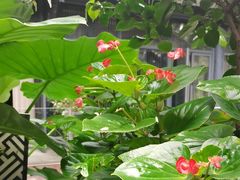 -大妙火锅·非物质文化遗产(东湖公园店)