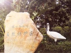 -宝安西湾红树林湿地公园