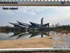 -盐城丹顶鹤湿地生态旅游区