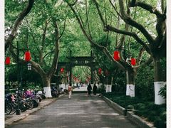 -杭州黄龙洞