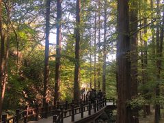 -北京植物园南门售票处