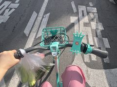 -丁香湖公园