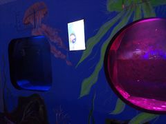 -青岛东方影都融创电影世界