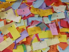 -志龙皇冠吃货椰子铺