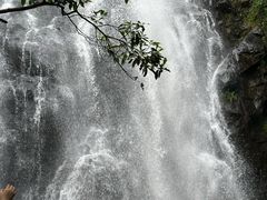 -马峦山郊野公园