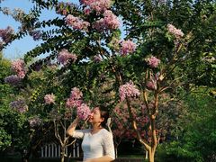 -杭州城北体育公园