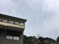 -老幺泉水鸡