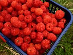 -宁波五龙潭景区