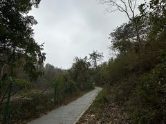 -青龙山国家森林公园