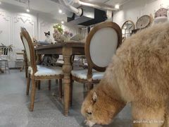 -共舞时光猫咖·狗咖(新街口店)