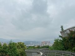 -福道