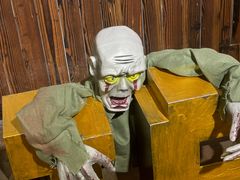 -长藤鬼校(龙翔店)